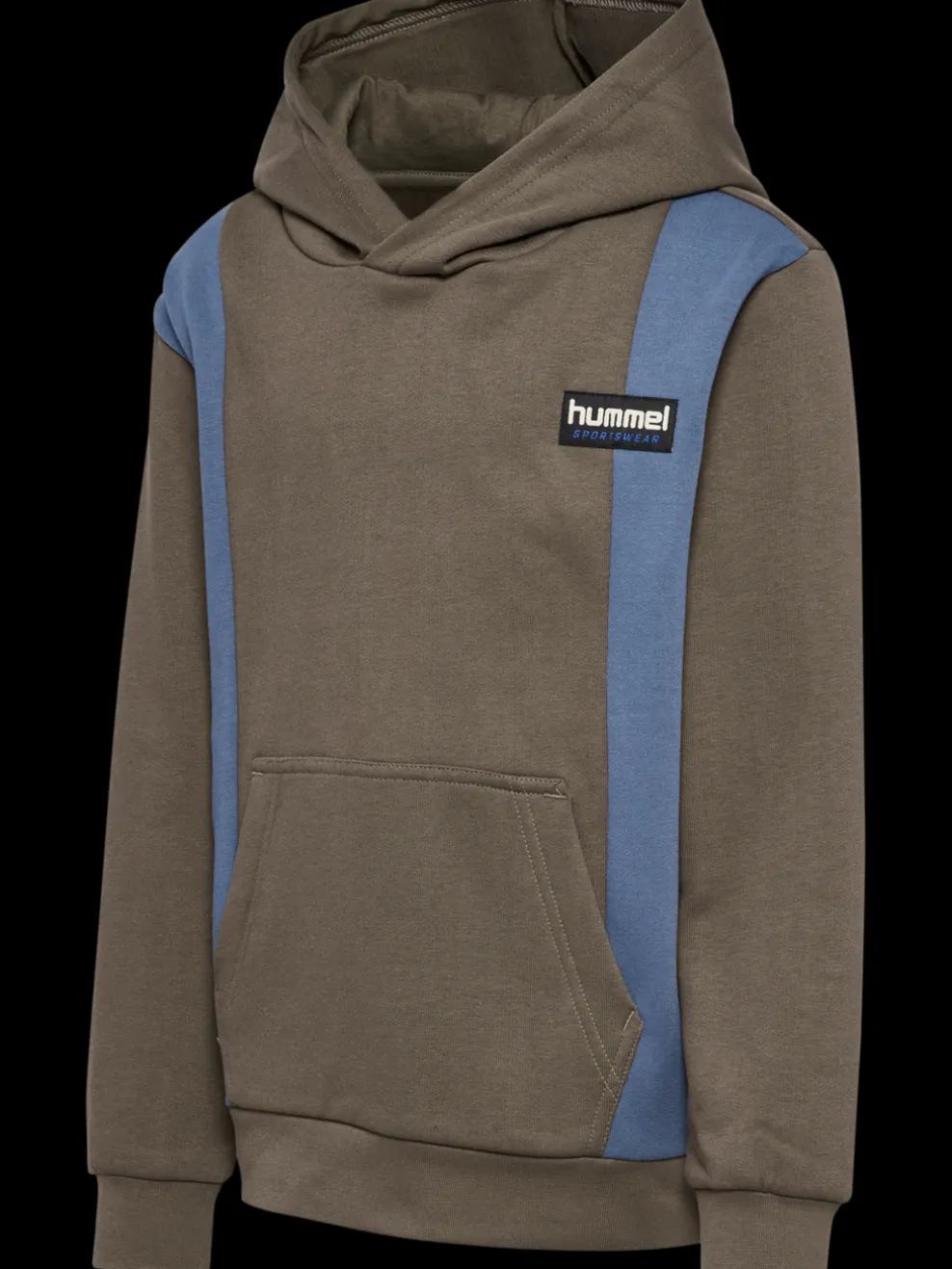 hmlALLTON HOODIE