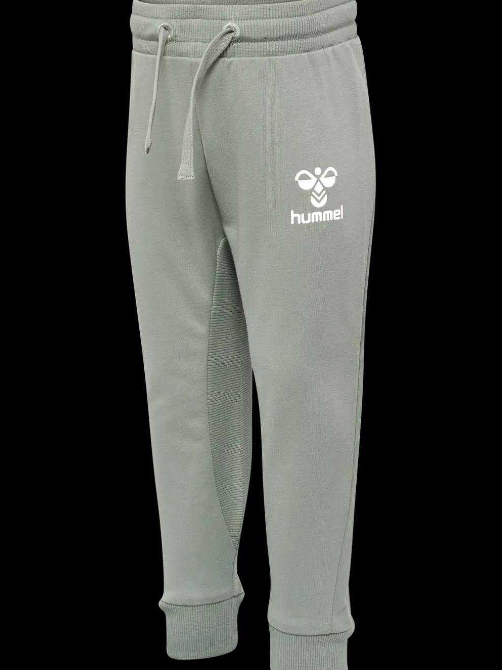 hmlAPPLE PANTS