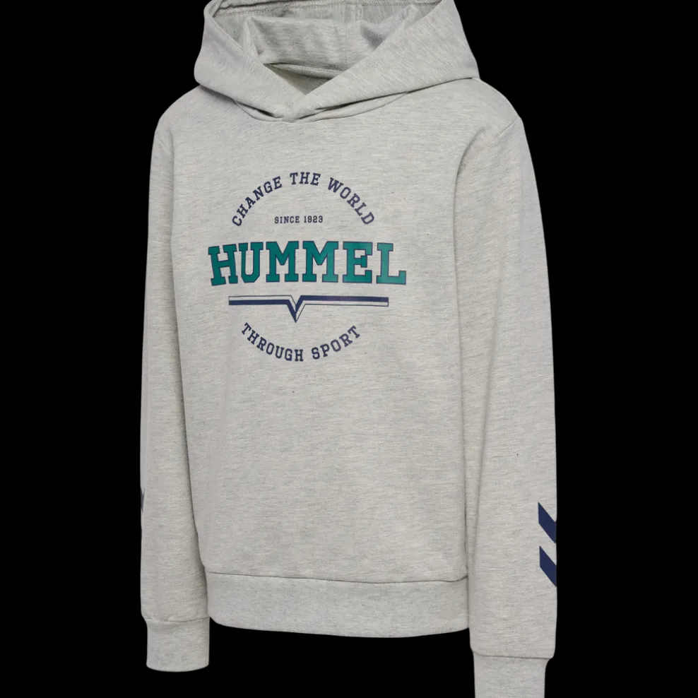 hmlASHER HOODIE