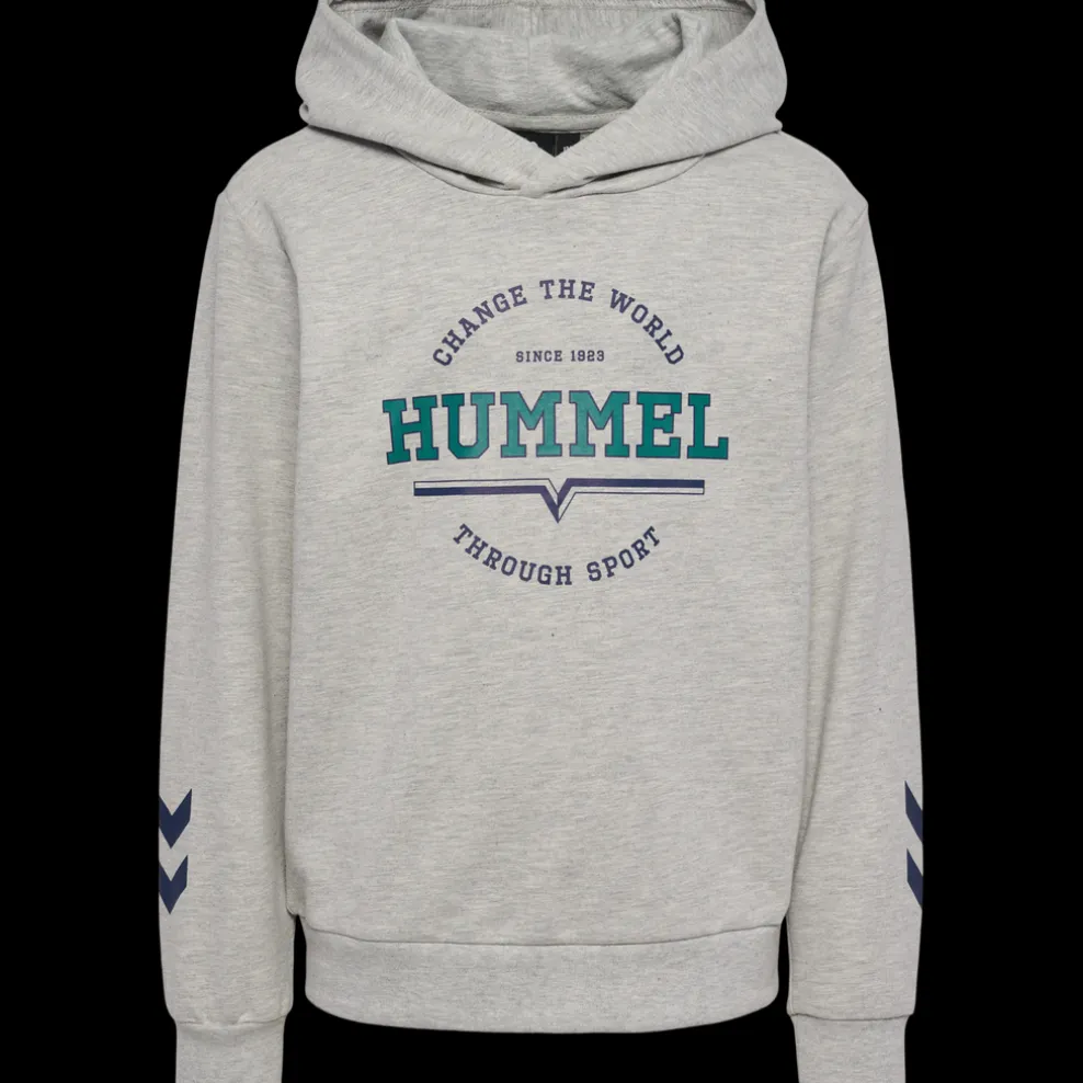 hmlASHER HOODIE