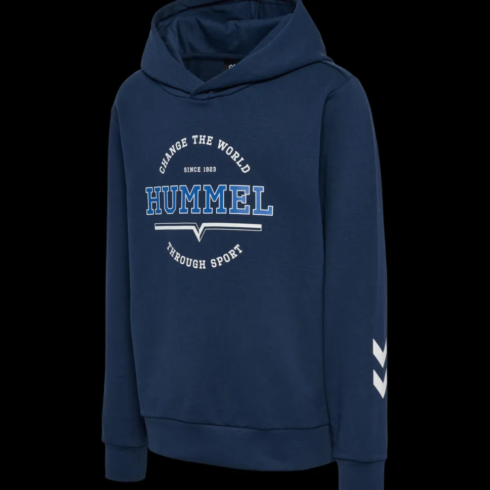 hmlASHER HOODIE