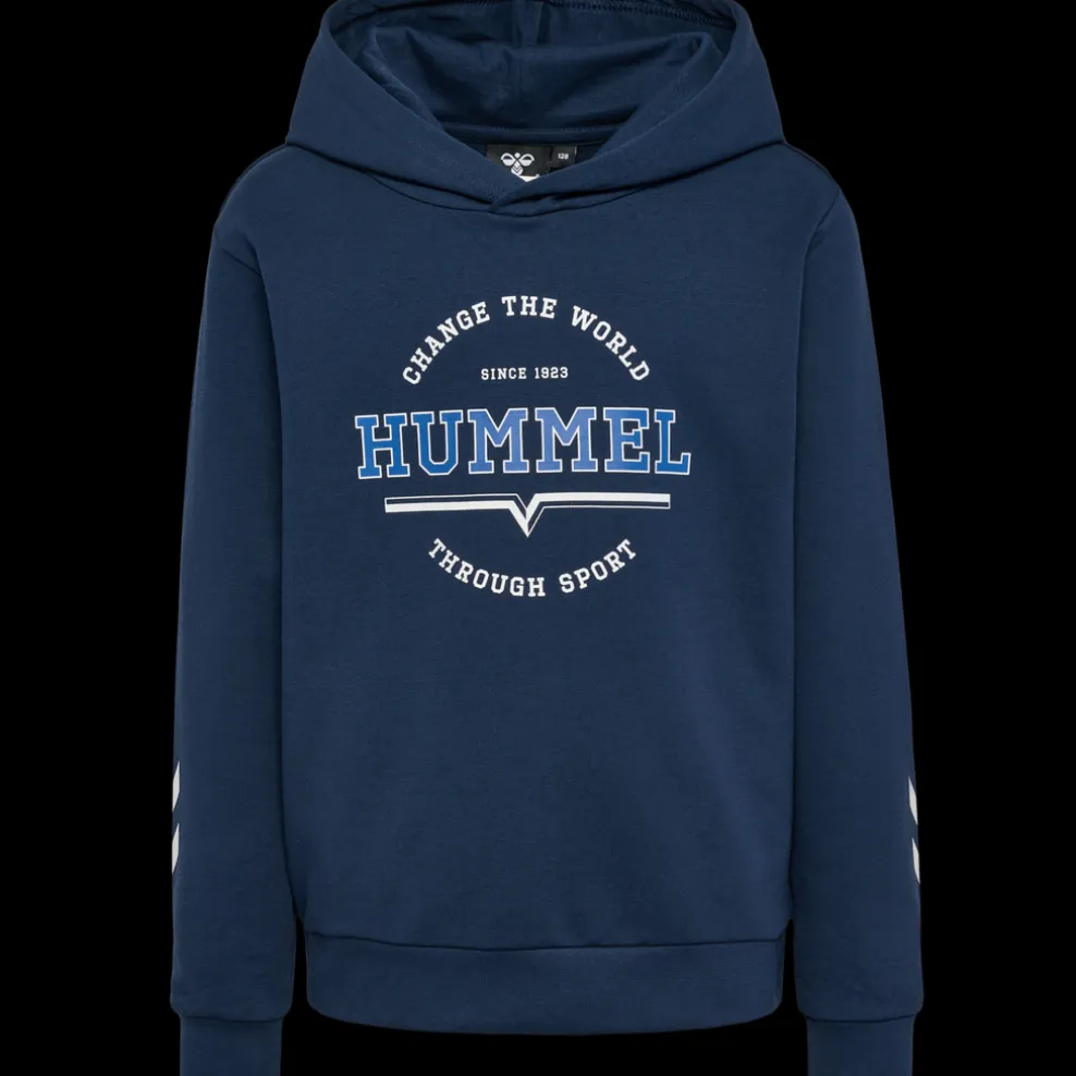 hmlASHER HOODIE