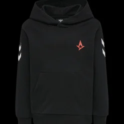 hmlASTRALIS CUATRO HOODIE