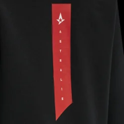 hmlASTRALIS CUATRO HOODIE