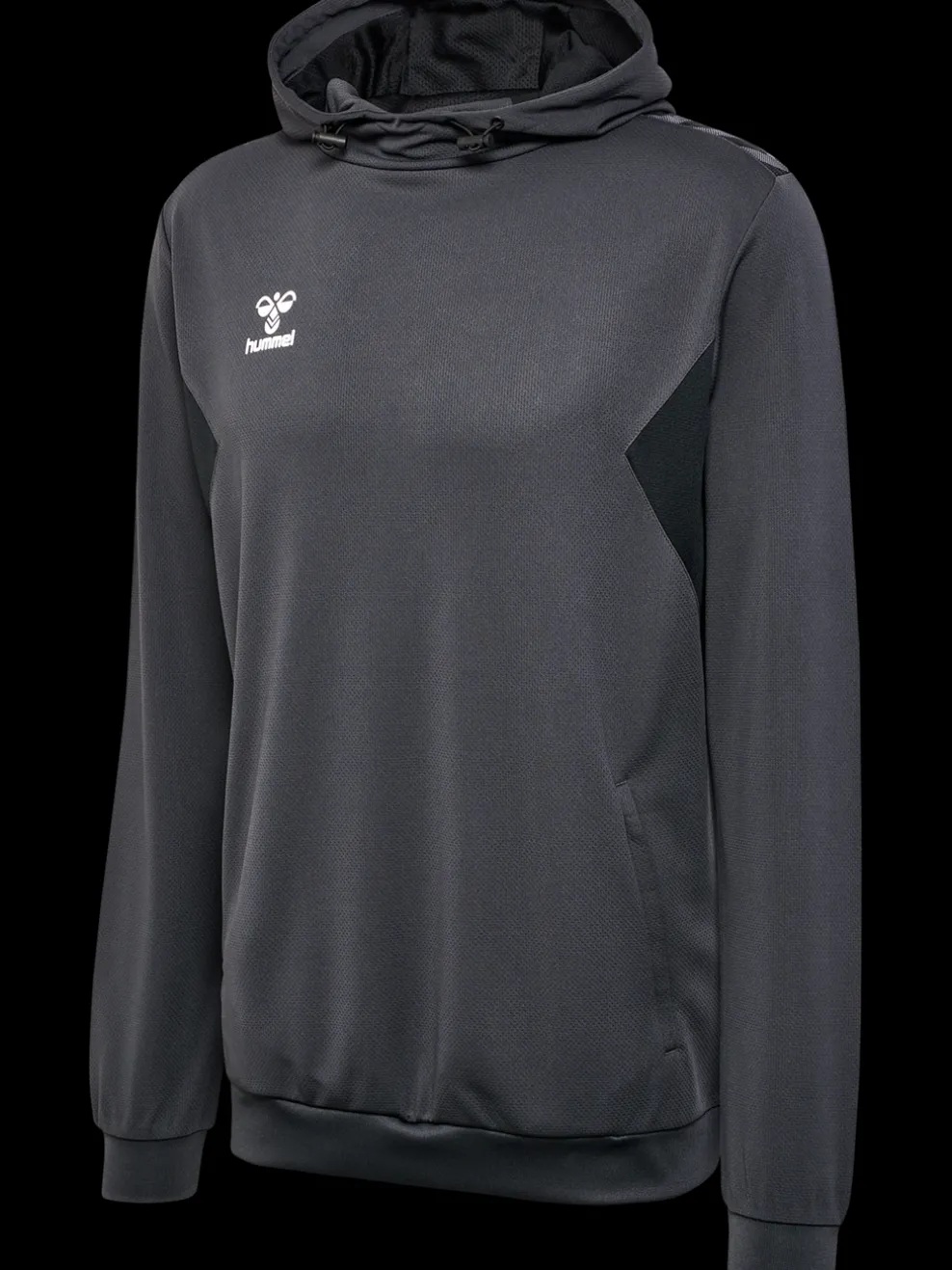 hmlAUTHENTIC PL HOODIE