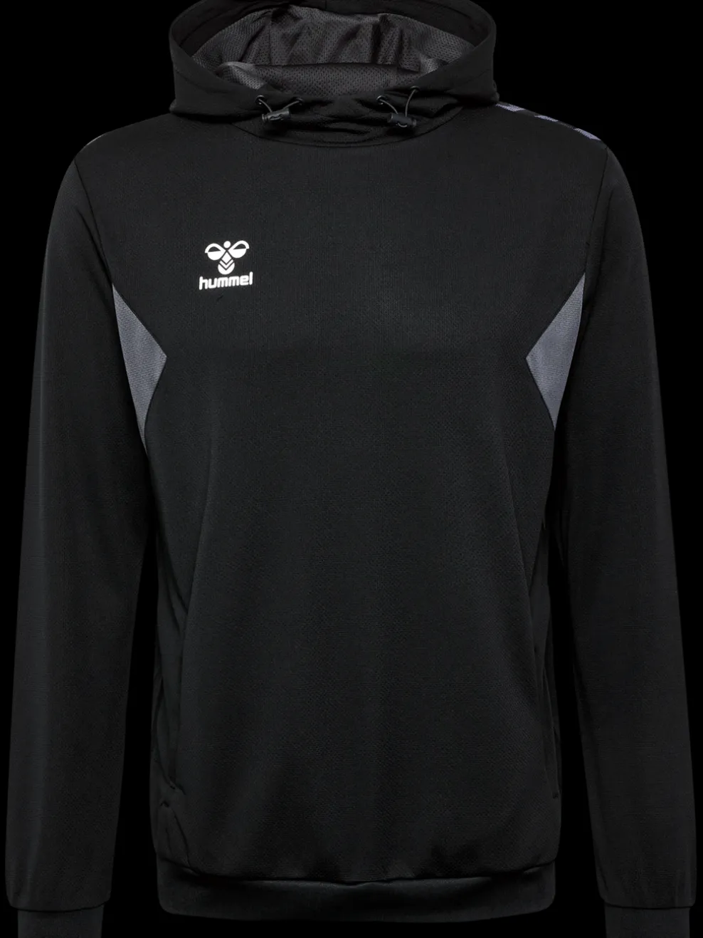 hmlAUTHENTIC PL HOODIE