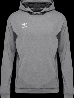 hmlAUTHENTIC PL HOODIE