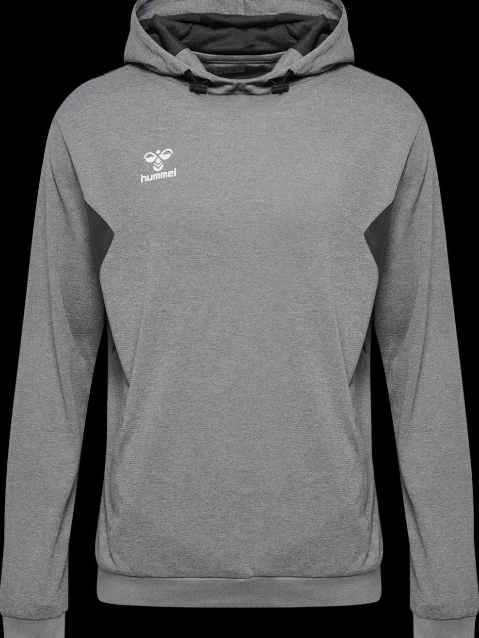 hmlAUTHENTIC PL HOODIE