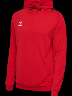 hmlAUTHENTIC PL HOODIE