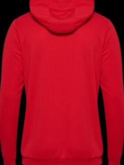 hmlAUTHENTIC PL HOODIE