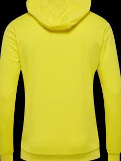 hmlAUTHENTIC PL HOODIE