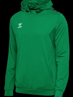 hmlAUTHENTIC PL HOODIE