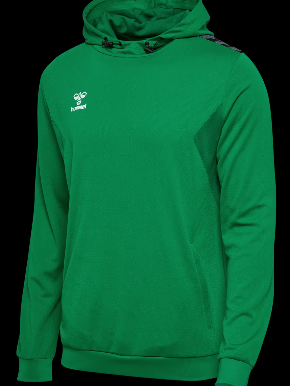 hmlAUTHENTIC PL HOODIE