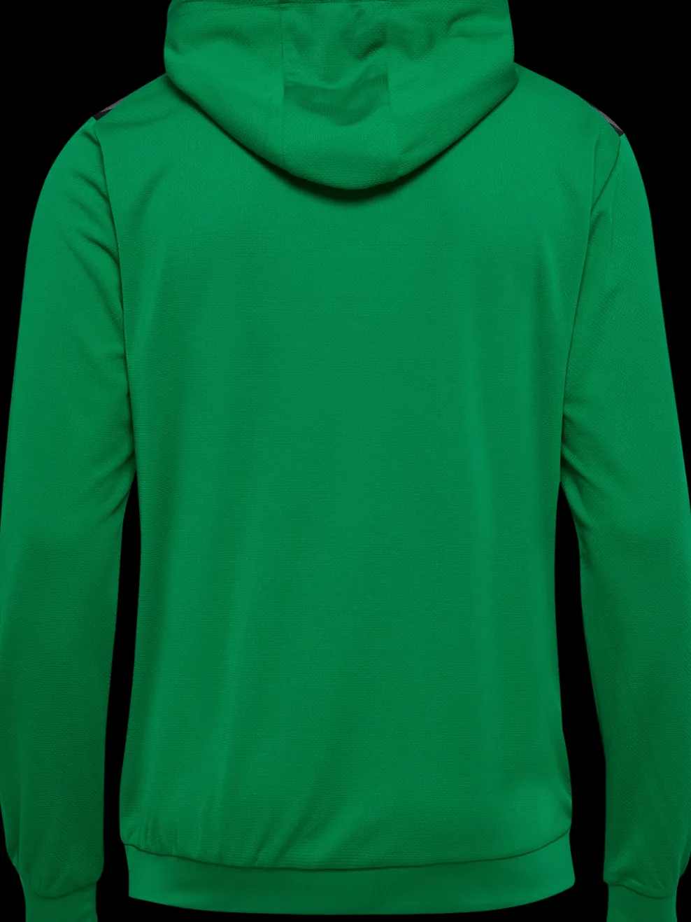 hmlAUTHENTIC PL HOODIE