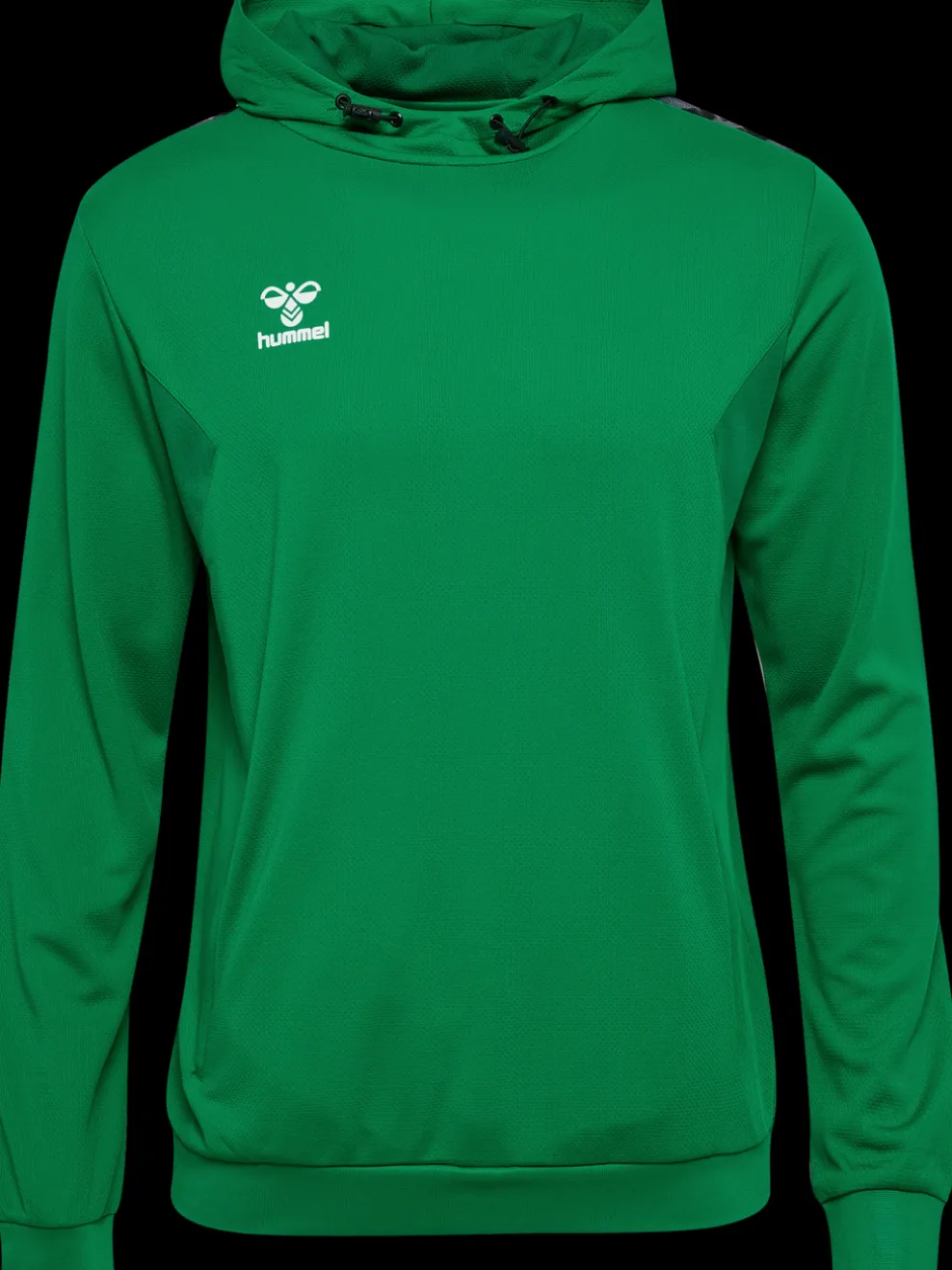 hmlAUTHENTIC PL HOODIE