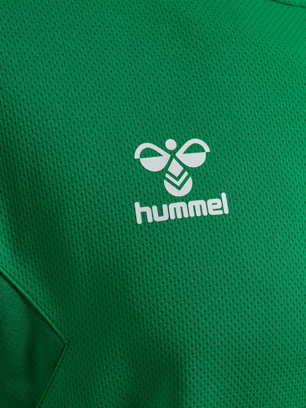 hmlAUTHENTIC PL HOODIE