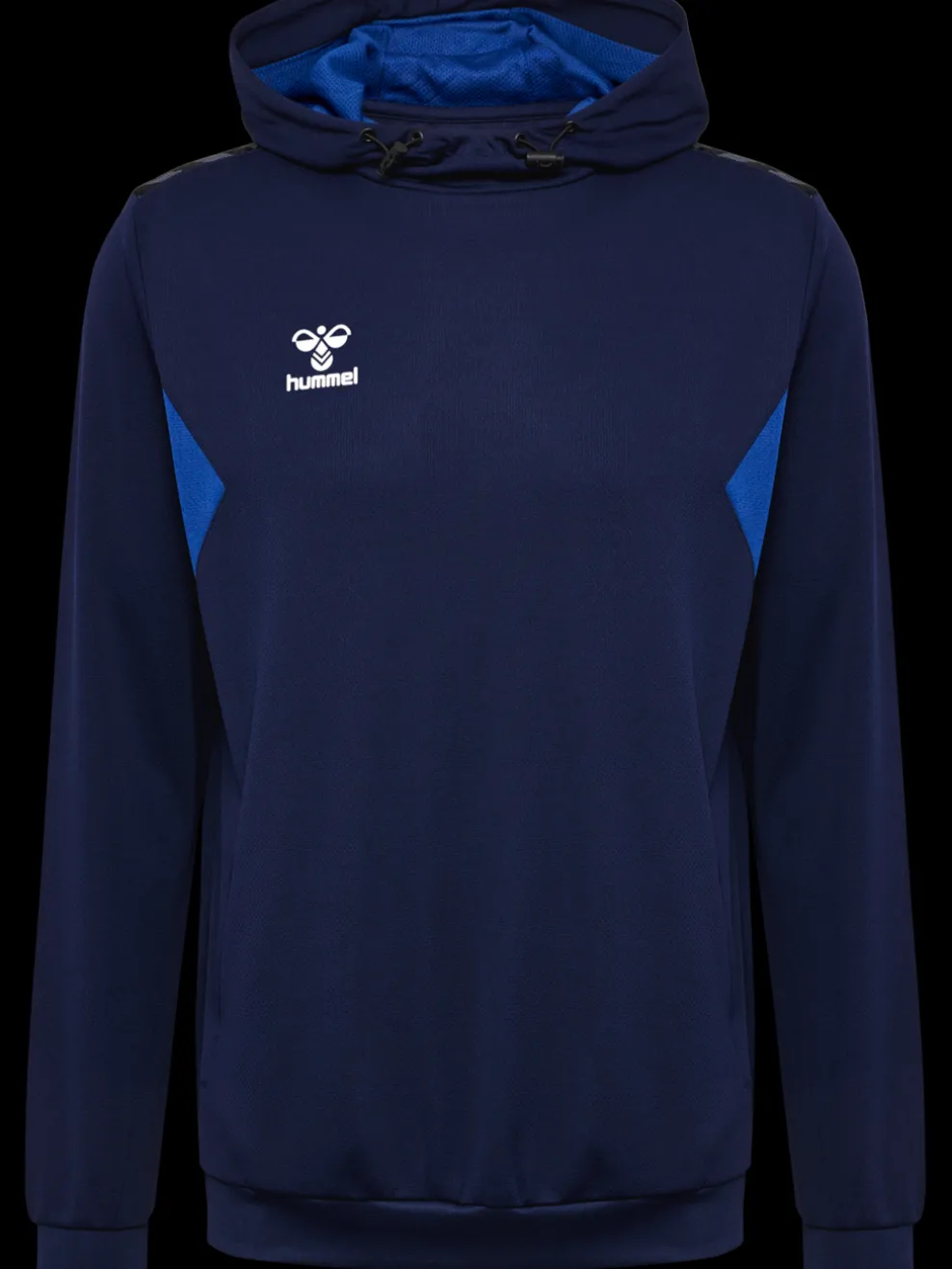 hmlAUTHENTIC PL HOODIE