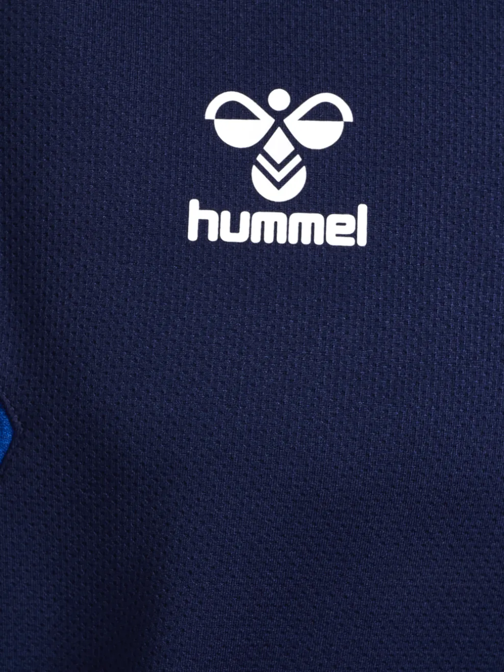 hmlAUTHENTIC PL HOODIE