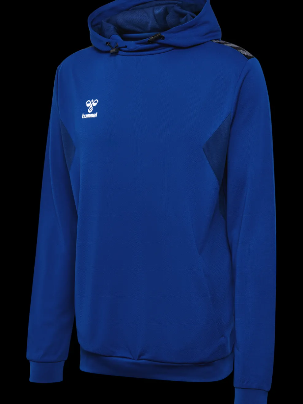 hmlAUTHENTIC PL HOODIE