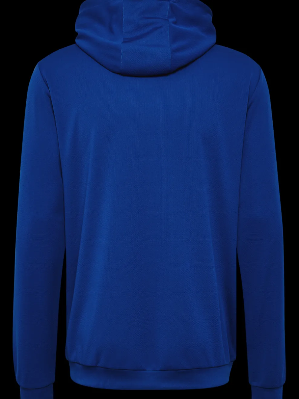 hmlAUTHENTIC PL HOODIE