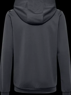 hmlAUTHENTIC PL HOODIE KIDS