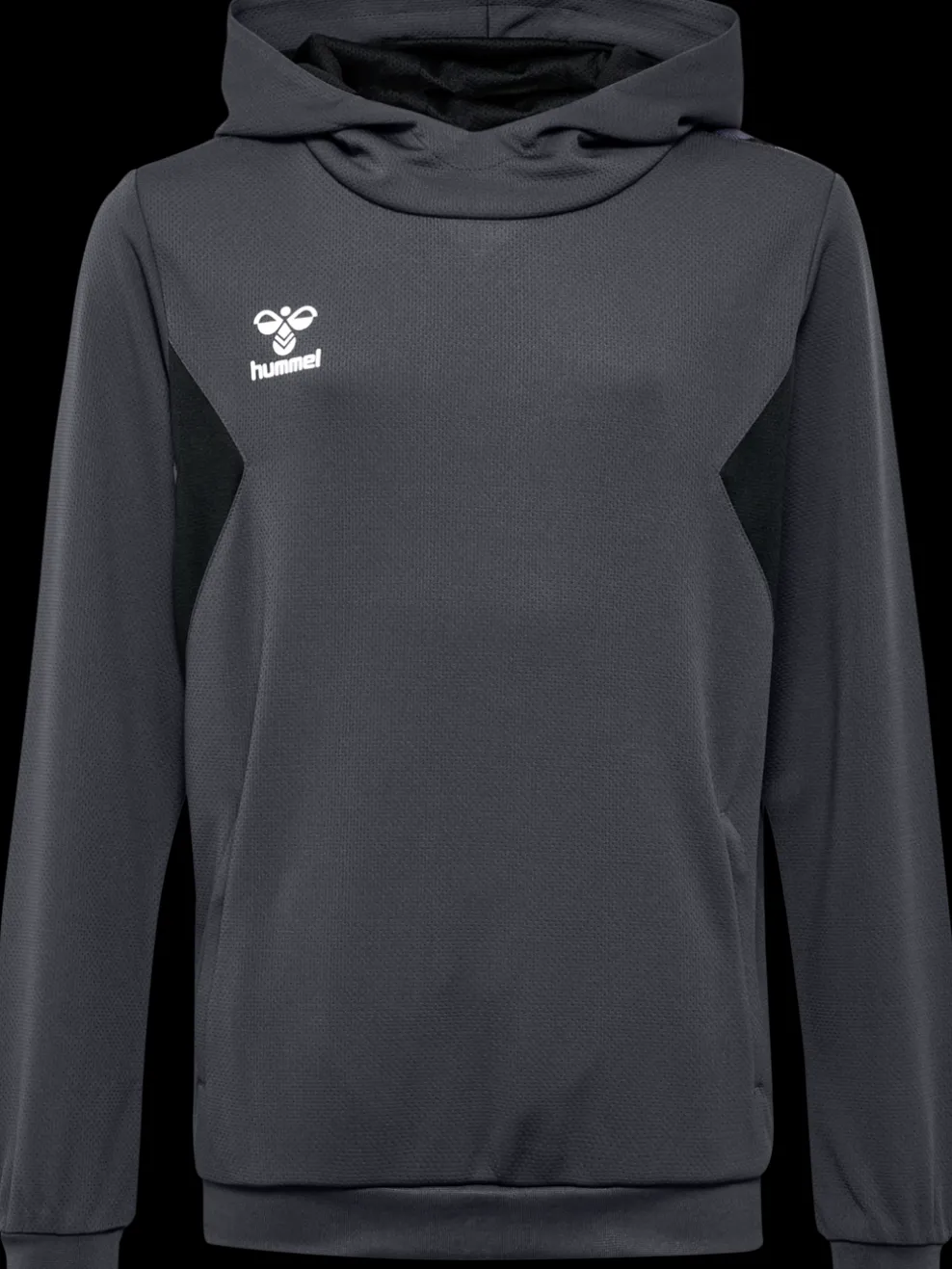 hmlAUTHENTIC PL HOODIE KIDS