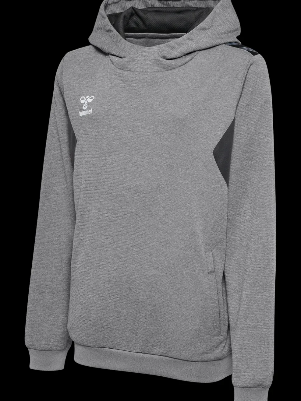 hmlAUTHENTIC PL HOODIE KIDS