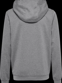hmlAUTHENTIC PL HOODIE KIDS