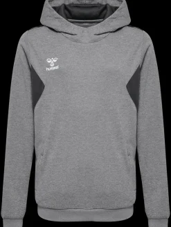 hmlAUTHENTIC PL HOODIE KIDS