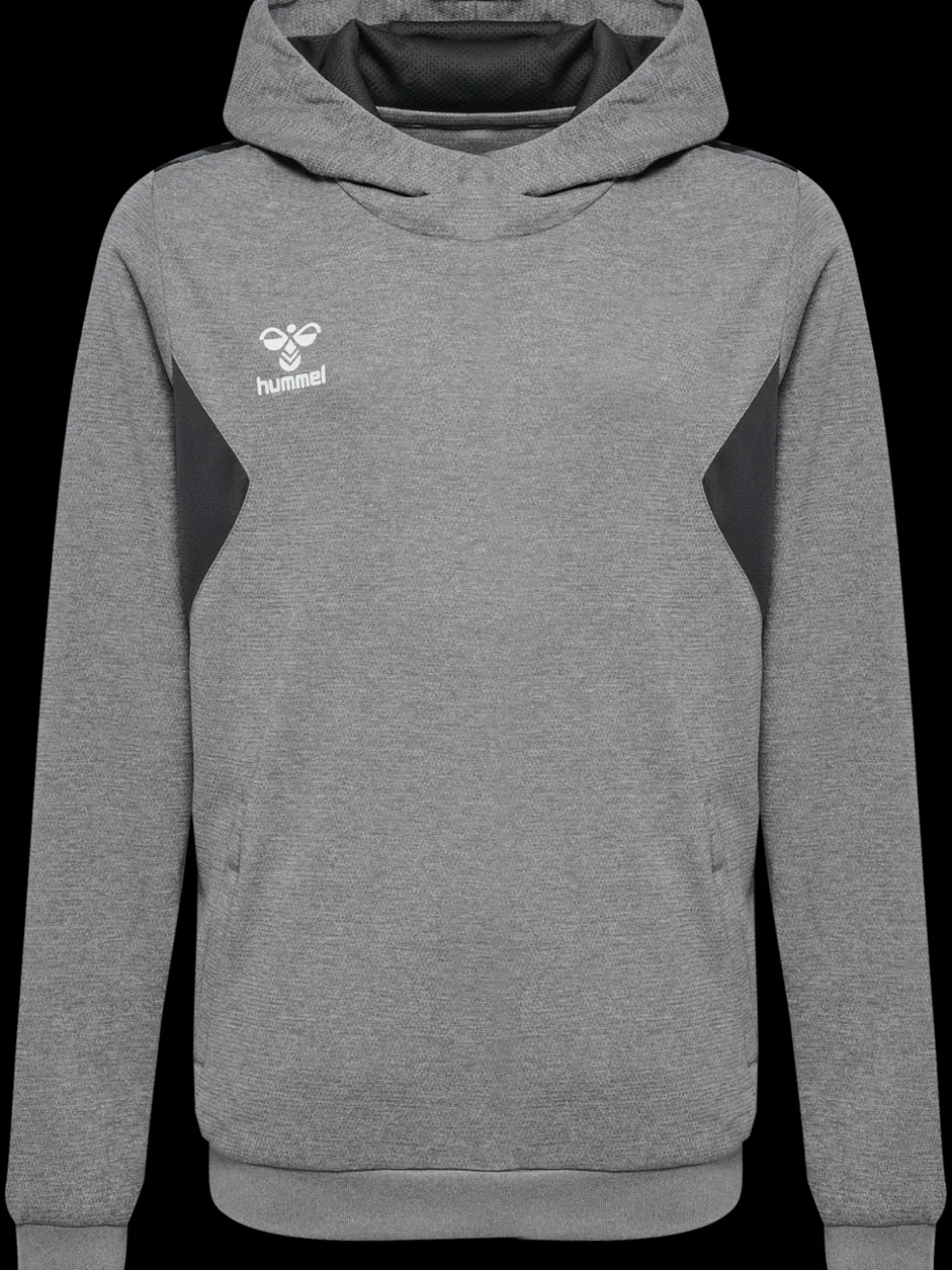 hmlAUTHENTIC PL HOODIE KIDS