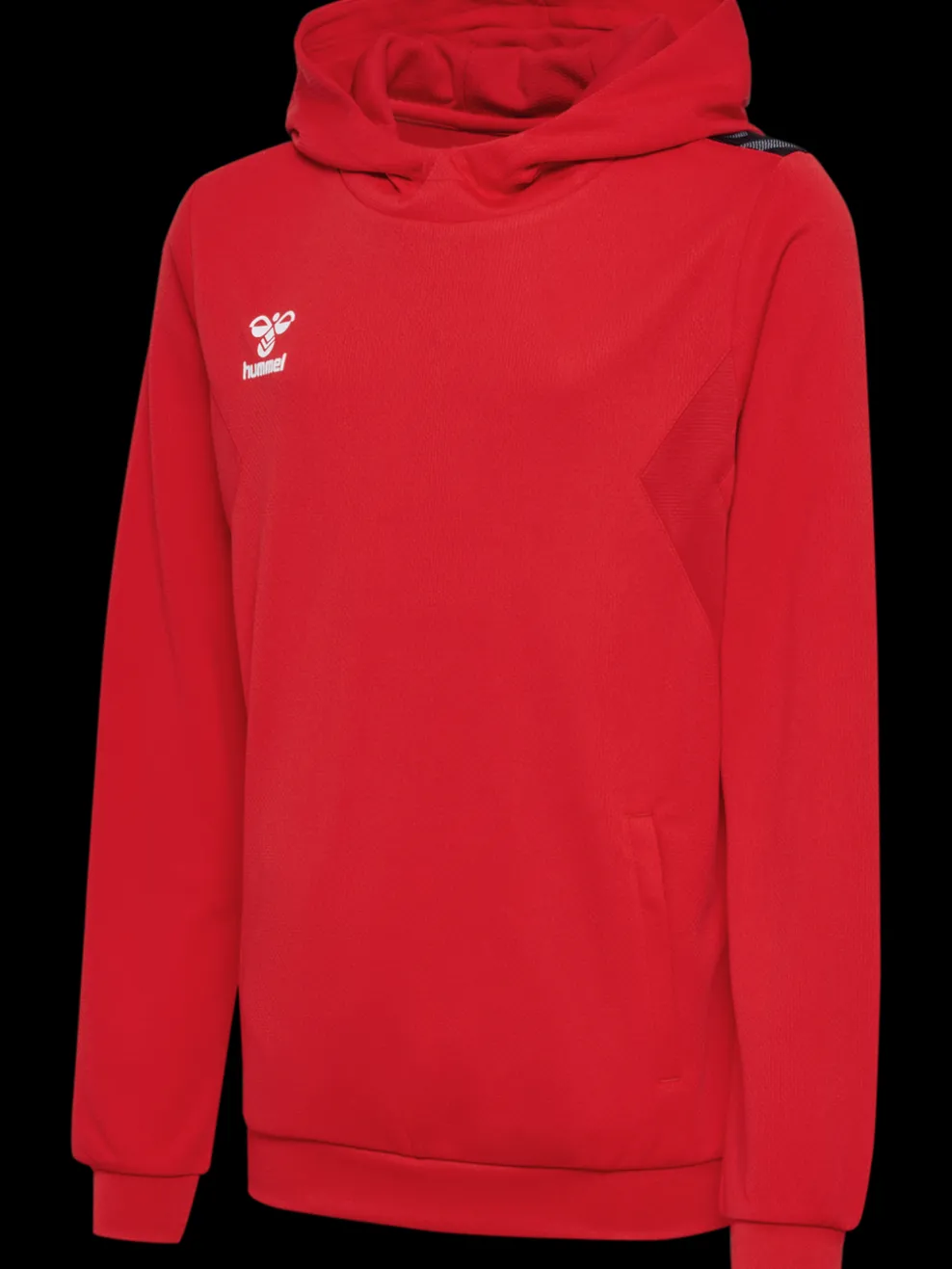 hmlAUTHENTIC PL HOODIE KIDS