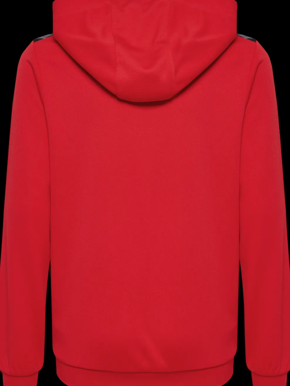 hmlAUTHENTIC PL HOODIE KIDS
