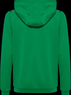hmlAUTHENTIC PL HOODIE KIDS