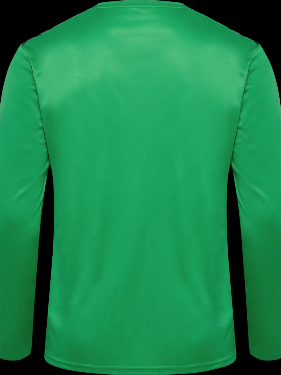 hmlAUTHENTIC PL JERSEY L/S