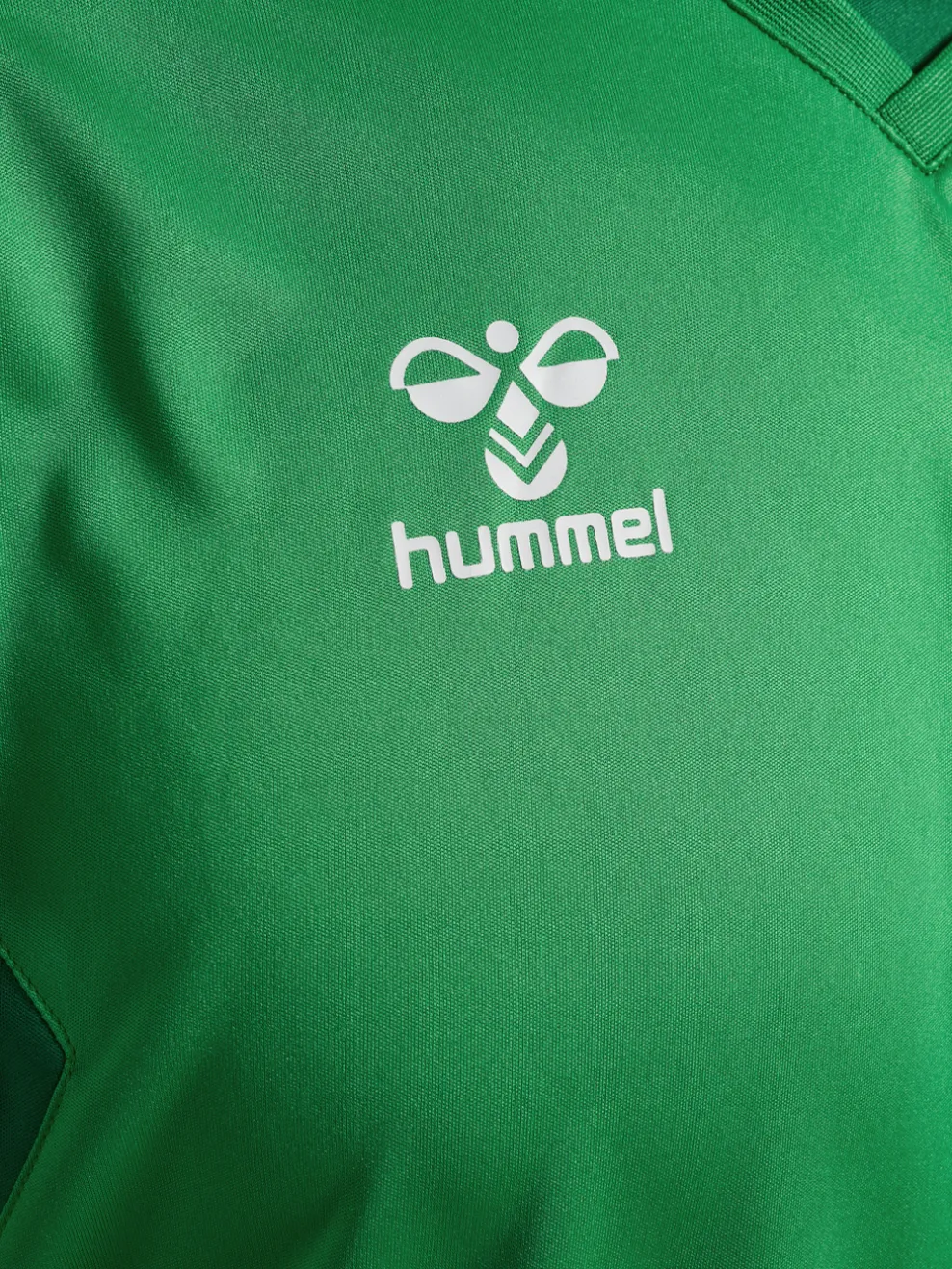 hmlAUTHENTIC PL JERSEY L/S