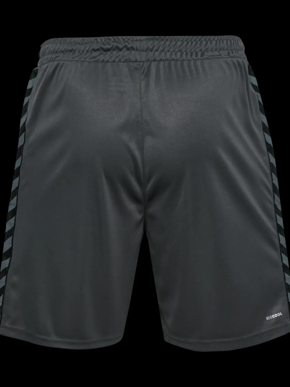 hmlAUTHENTIC PL SHORTS