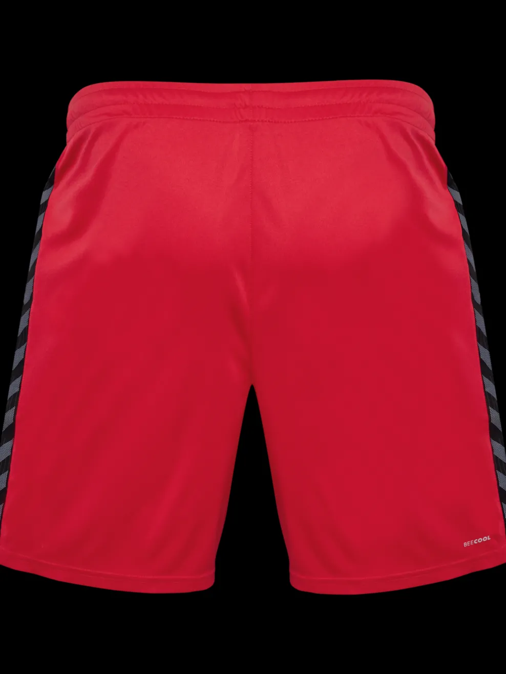 hmlAUTHENTIC PL SHORTS