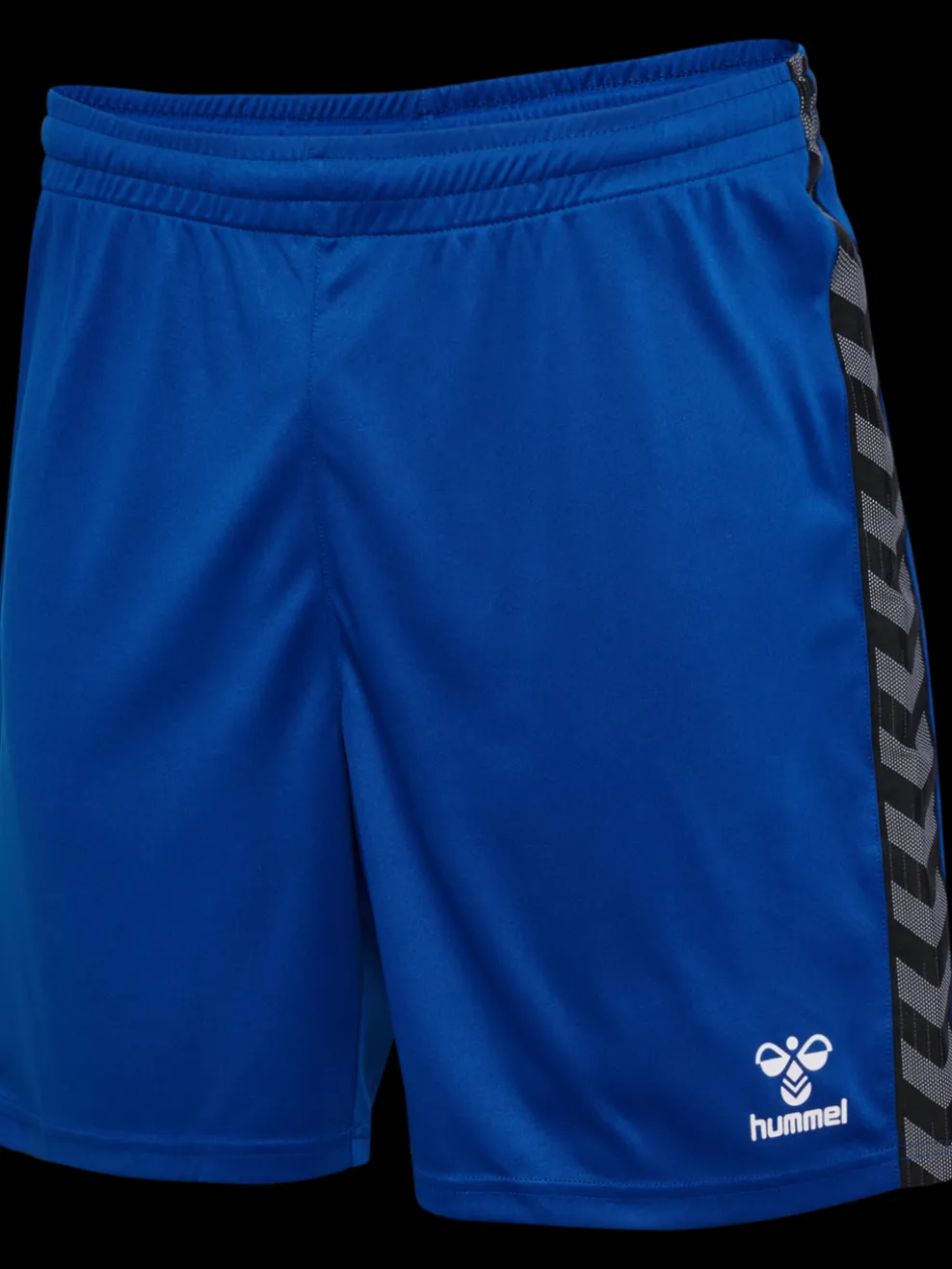 hmlAUTHENTIC PL SHORTS