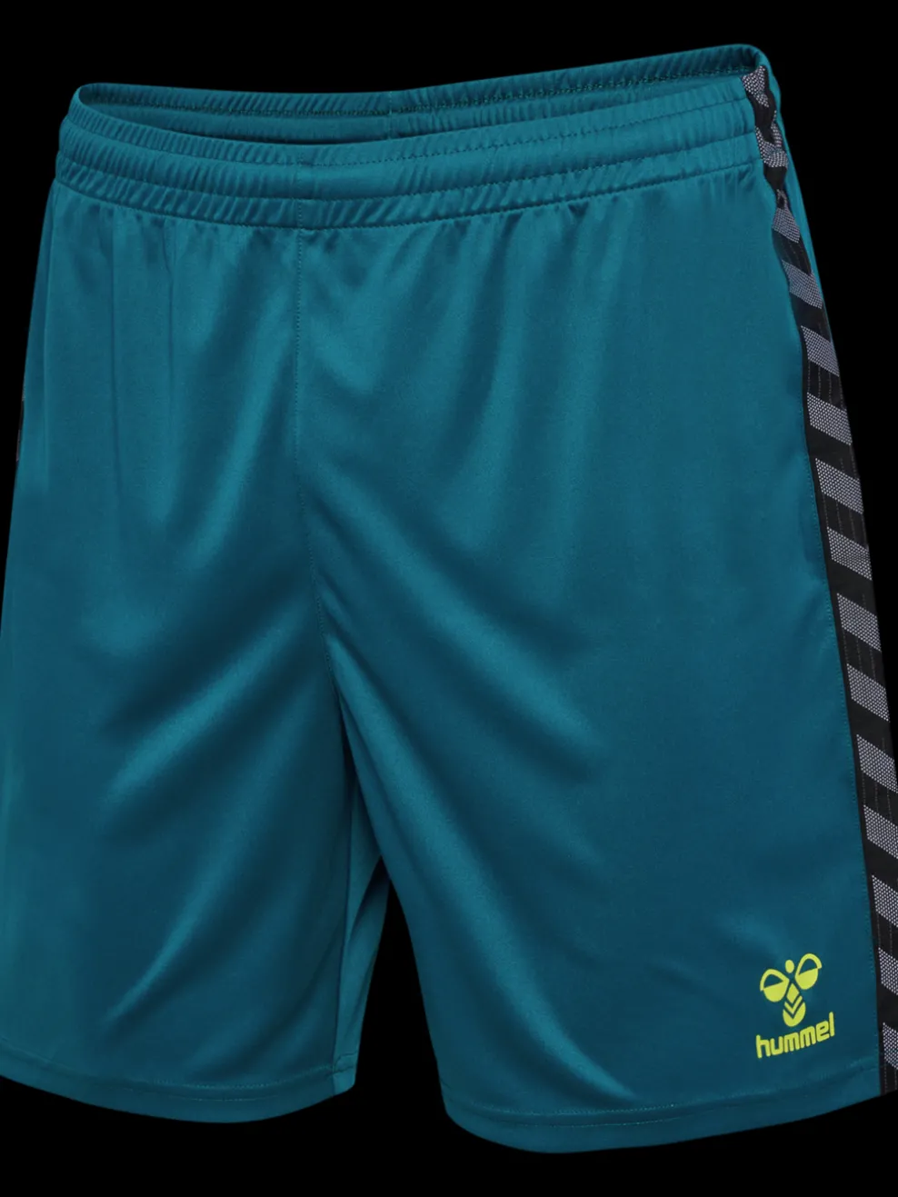 hmlAUTHENTIC PL SHORTS