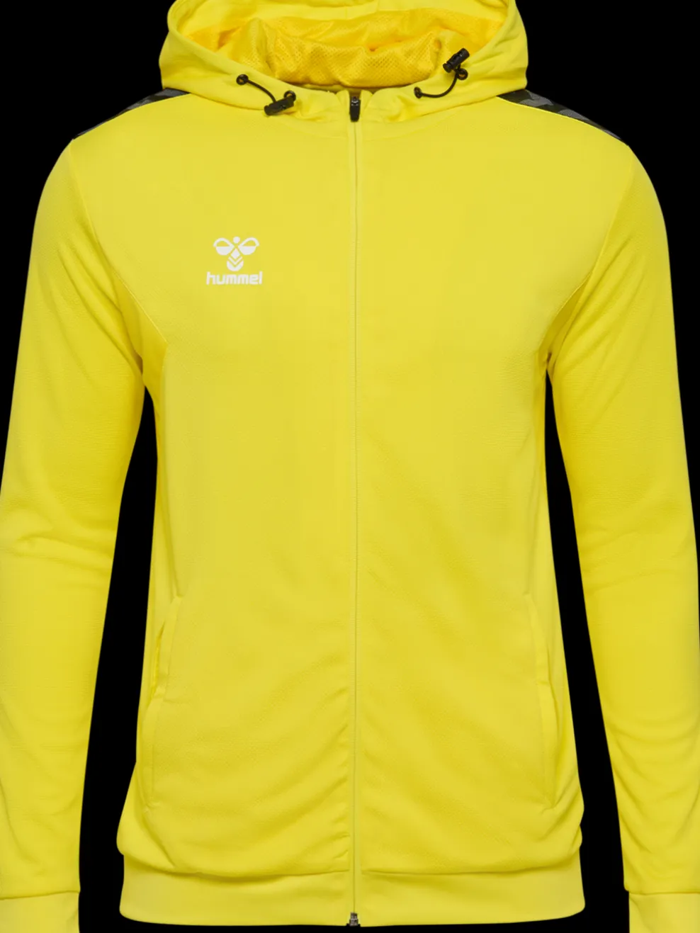 hmlAUTHENTIC PL ZIP HOODIE