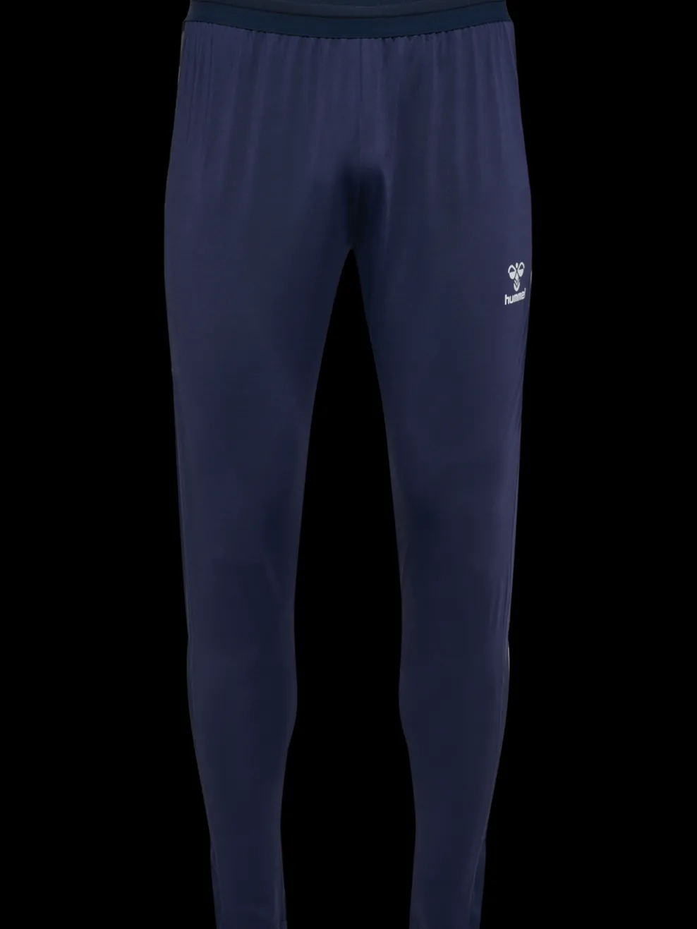 hmlAUTHENTIC PRO PANTS