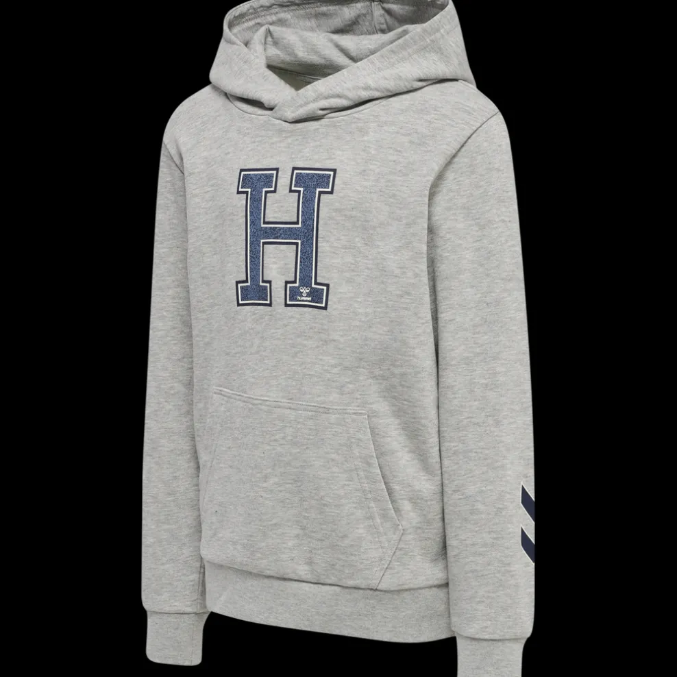 hmlGEOGRAPHY HOODIE