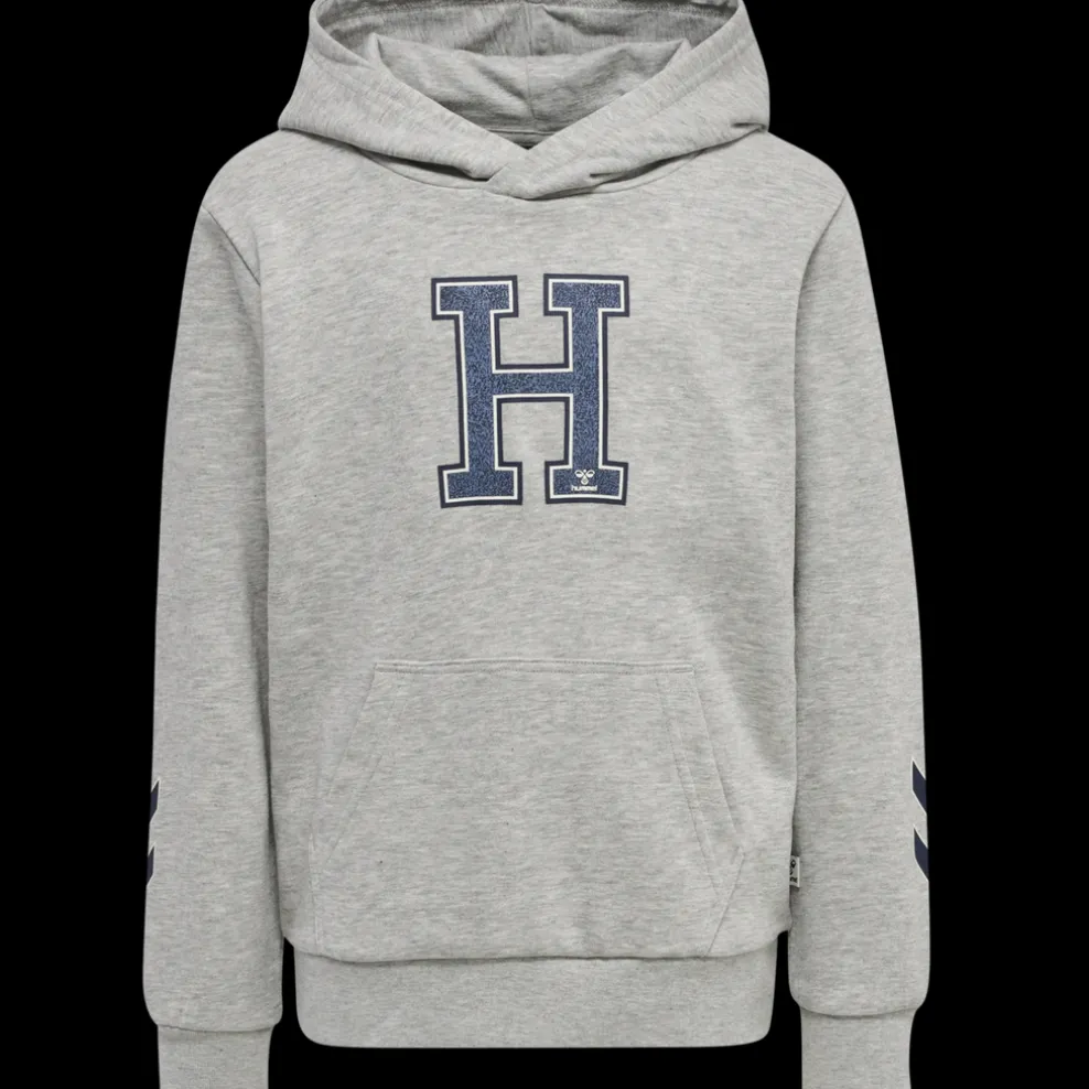 hmlGEOGRAPHY HOODIE