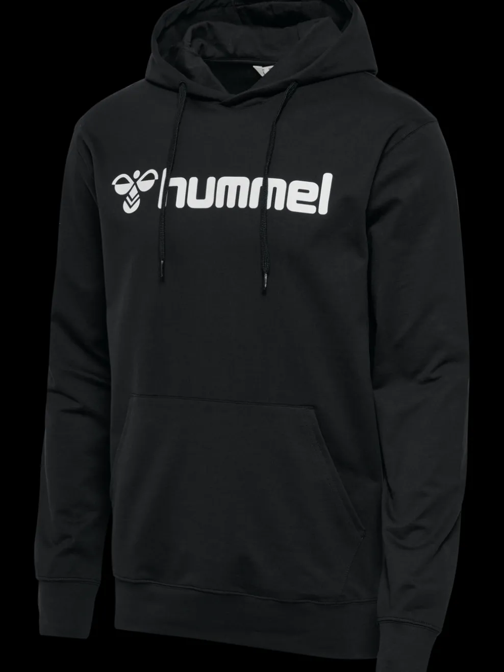 hmlGO 2.0 LOGO HOODIE