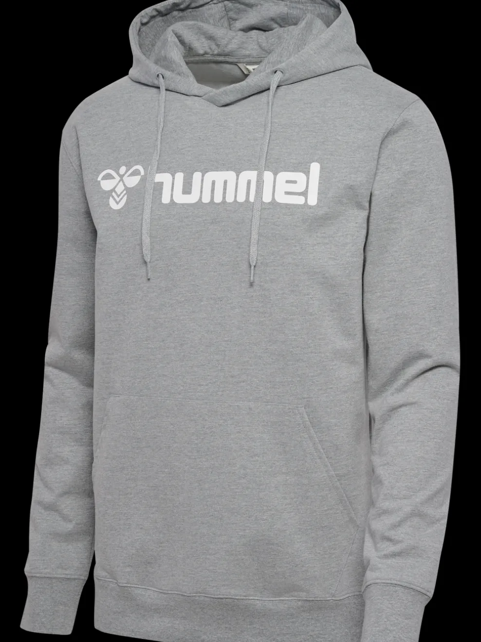 hmlGO 2.0 LOGO HOODIE