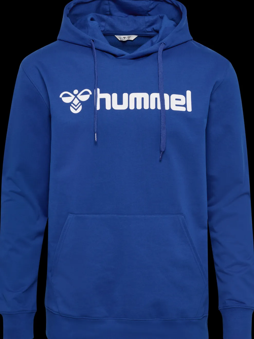 hmlGO 2.0 LOGO HOODIE