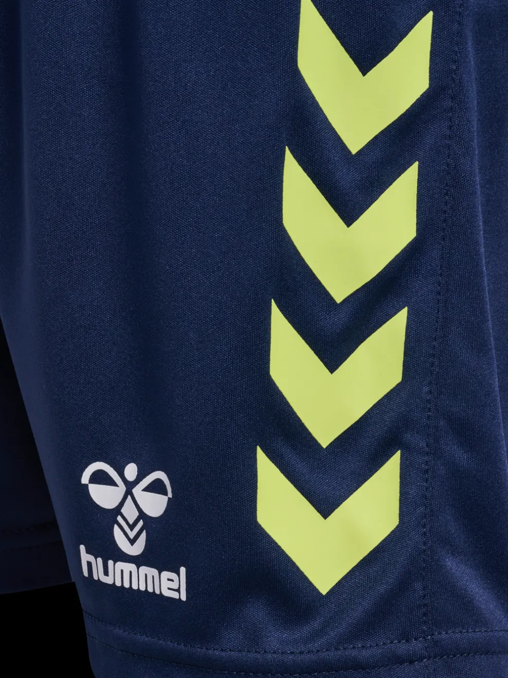hmlGRAPHIC UNIVERSE SHORTS KIDS