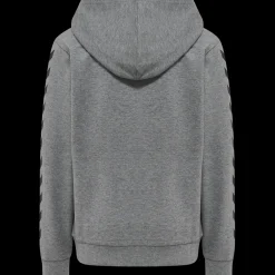 hmlHARRY POTTER CUATRO HOODIE