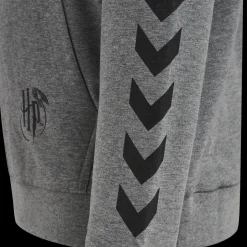 hmlHARRY POTTER CUATRO HOODIE