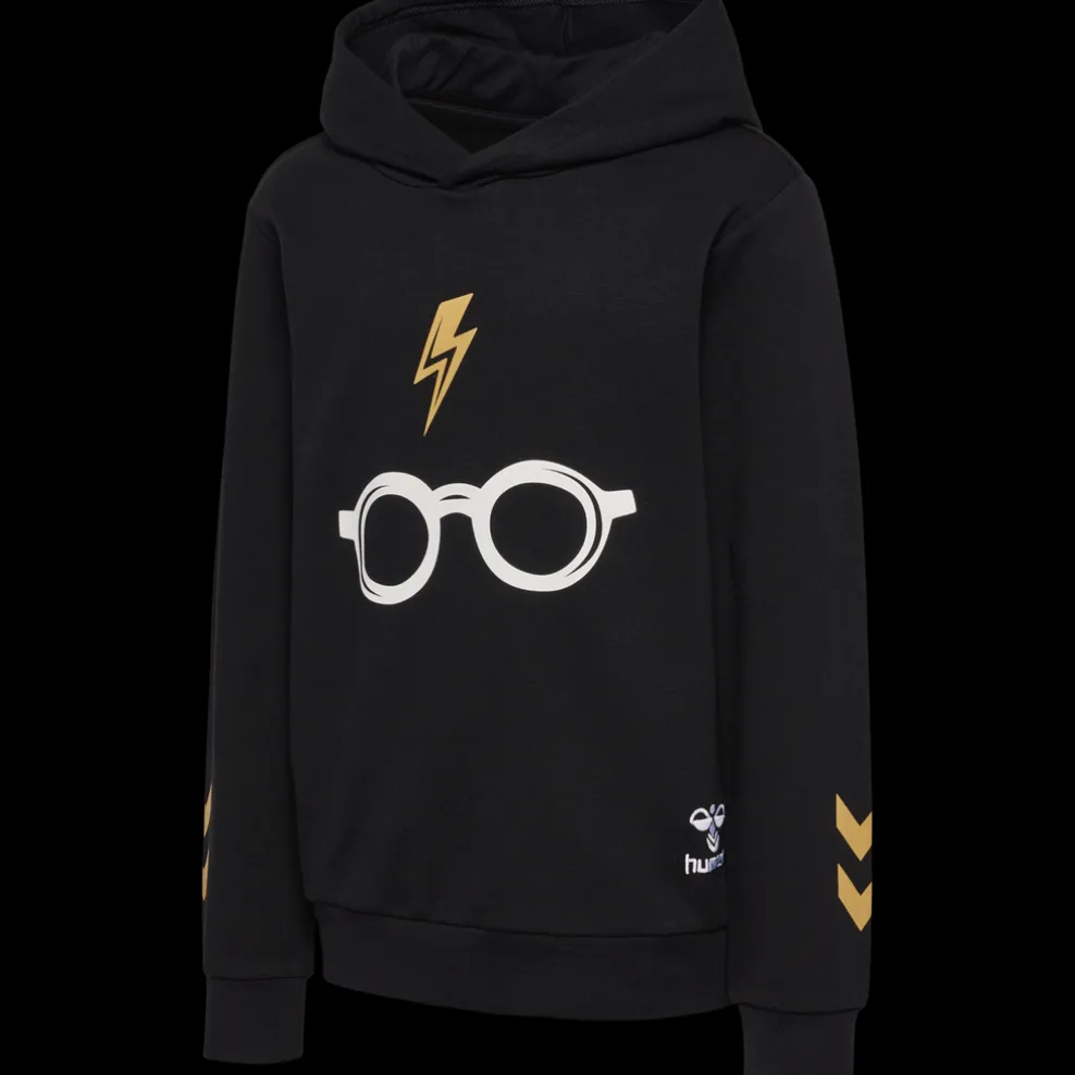 hmlHARRY POTTER HOODIE